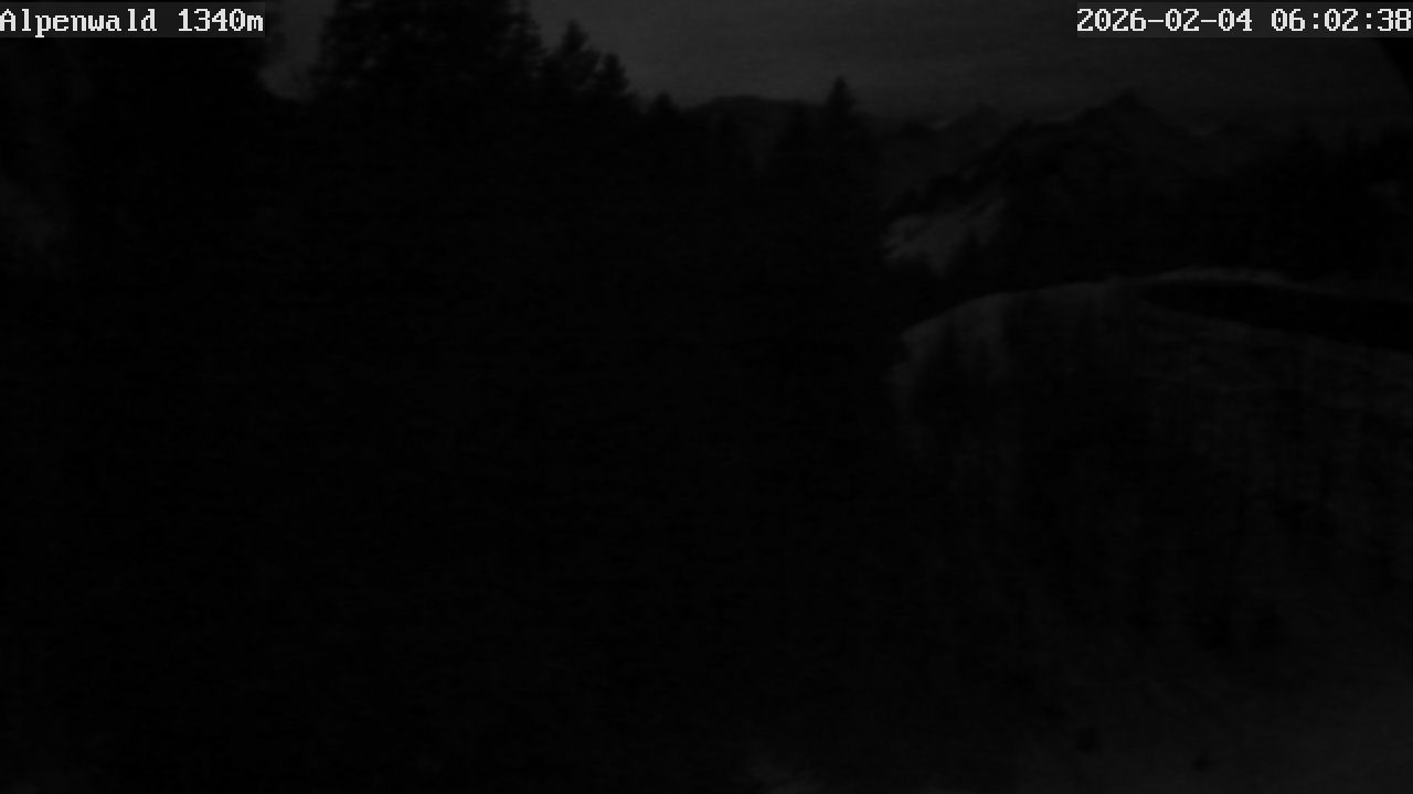 Image: Gasthof Alpenwald